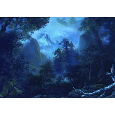 Afbeelding van Komar Vliesbehang Vliestapete Midnight 400x280 cm (breedte x hoogte)