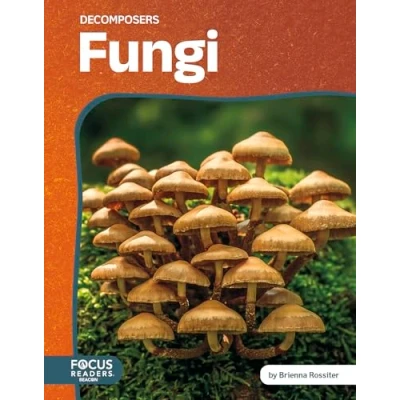Afbeelding van Decomposers Fungi