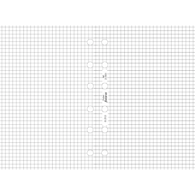 Afbeelding van Filofax vulling pocket wit papier ruiten