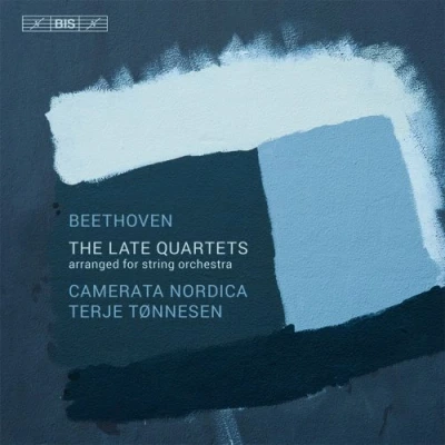 Afbeelding van The Late String Quartets