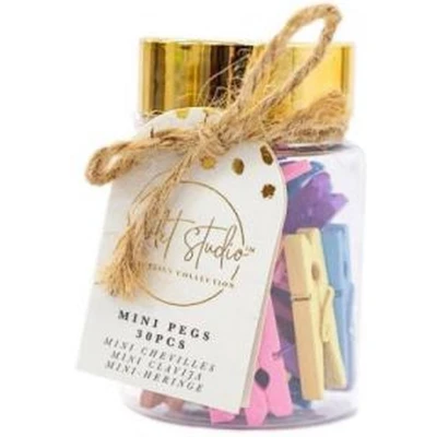 Afbeelding van Violet Studio Mini Pegs Jar Pastels 30pcs