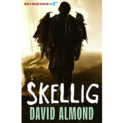 Afbeelding van Skellig