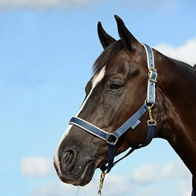 Afbeelding van Bucas Halter Dublin Pony Navy Zilver