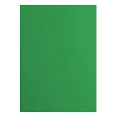 Afbeelding van Vaessen Creative 2927 076 Florence Cardstock papier, groen, 216 g/m², DIN A4, 10 stuks, glad, voor scrapbooking, kaarten maken, ponsen en andere papierknutselwerk