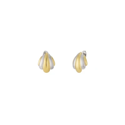 Afbeelding van Bijoutheek Oorknoppen Bicolor Goud Zilver