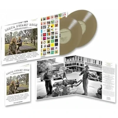 Afbeelding van V/A Delta Swamp Rock (2 LPs)