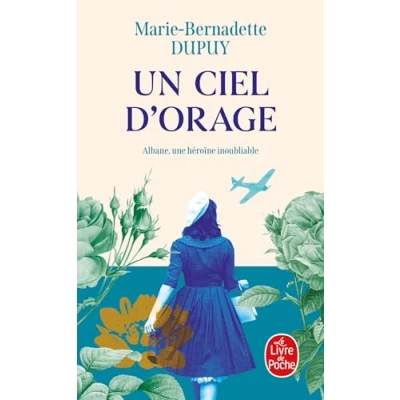 Afbeelding van Un ciel d&#039;orage (Albane, Tome 1)