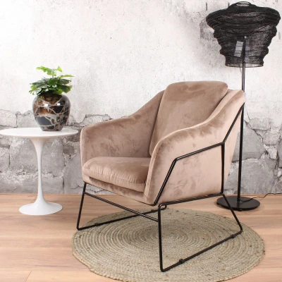 Afbeelding van DS4U Antonio fauteuil Velvet champagne