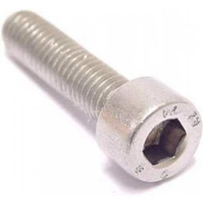 Afbeelding van Bofix Inbusbout M5 x 30 RVS (25 stuks)