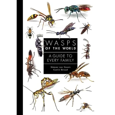 Afbeelding van Wasps of the World: A Guide to Every Family: 8