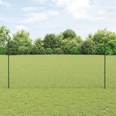 Afbeelding van vidaXL Tuinhek Set van 2 Groen Metaal, Kunststof 25 x 1.5 m