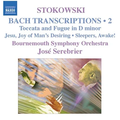 Afbeelding van Bournemouth Symphony Orchestra, José Serebrier Stokowski: Transcriptions Volume 2 (CD)