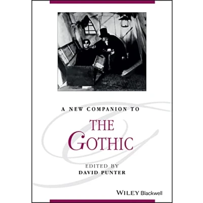 Afbeelding van A New Companion to The Gothic