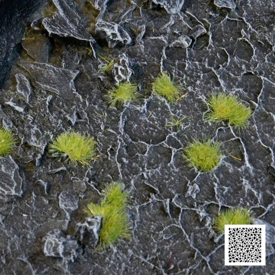 Afbeelding van Gamers Grass Tiny Tufts Light Green 2mm GGTT LG