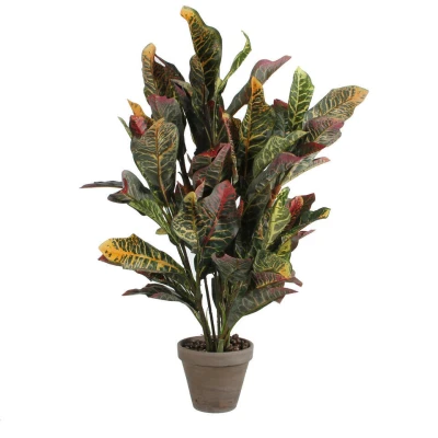 Afbeelding van Mica Decorations croton groen in pot stan grijs dia cm: 15 73x40