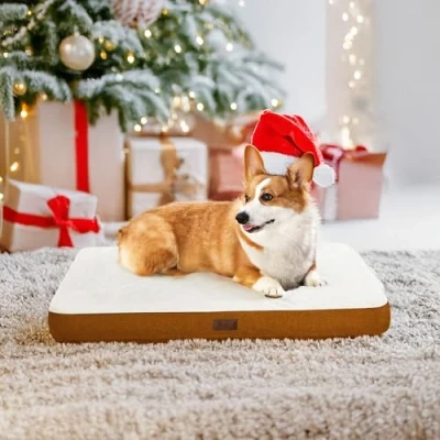 Afbeelding van PETNOVO Orthopedisch hondenbed voor kleine honden, wasbaar hondenbed, zacht, afneembare overtrek, 91 x 69 8 cm, pompoen