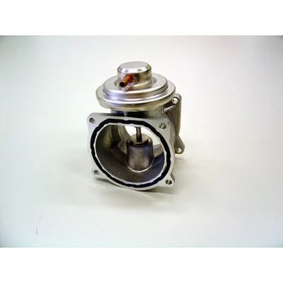 Afbeelding van Wahler EGR klep 7268D
