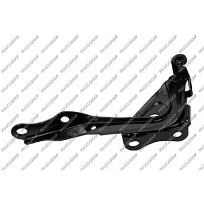 Afbeelding van PRASCO TY2873703 Scharnier, motorkap rechts TOYOTA: RAV4 III SUV (XA30) 2.2 D, 2.4 4WD, 2.0 D 2.4, 2005 2013
