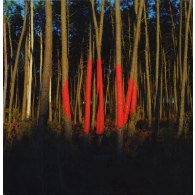 Afbeelding van Francois &amp; The Atlas Moun Piano Ombre