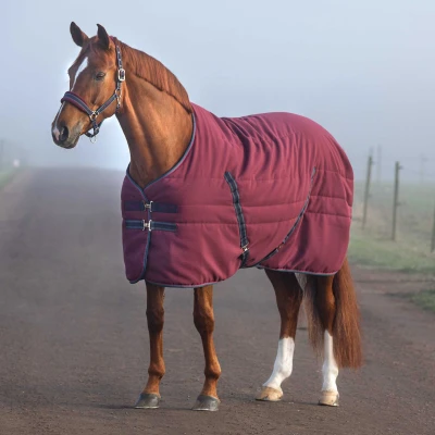 Afbeelding van Rambo Stable Lite 100g