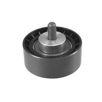 Afbeelding van MAGNETI MARELLI 331316170055 Geleide rol/omdraairol v snaar 10mm