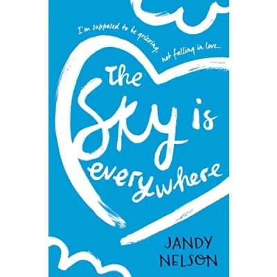 Afbeelding van Sky Is Everywhere