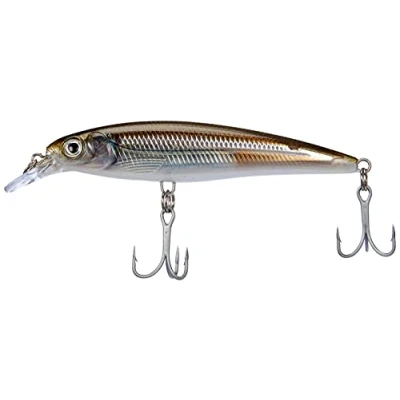 Afbeelding van Rapala SXR10MM X Rap Zoutwater 10