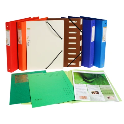 Afbeelding van Exacompta mappen (labelveld, afgeronde hoeken, gerecycled karton, 290 g foldyne forever, DIN A4) 5 stuks. Stuk gesorteerde kleuren