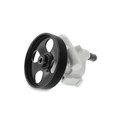 Afbeelding van DELCO Remy DSP529 Stuurbekrachtigingspomp Hydraulisch 6 M16 X 1.5mm (Female) Met reservoir Remanufactured