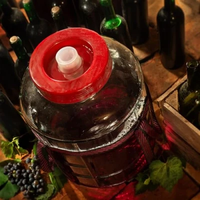 Afbeelding van KADAX Fermentatieballon, glazen ballon met deksel van kunststof, wijnballon, gistballon, universeel glas, komkommerglas, voorraadglas, bewaarglas, fermentatiecontainer, inmaakglas (12 liter)