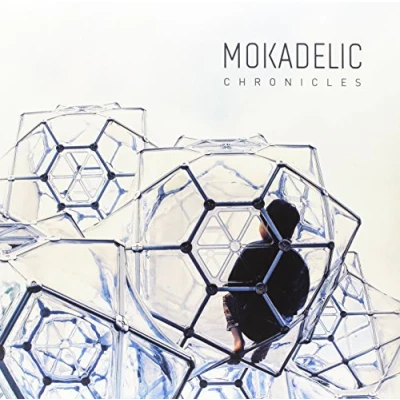 Afbeelding van Mokadelic Chronicles (2 LP)