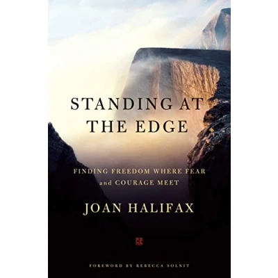 Afbeelding van Standing at the Edge: Finding Freedom Where Fear and Courage Meet
