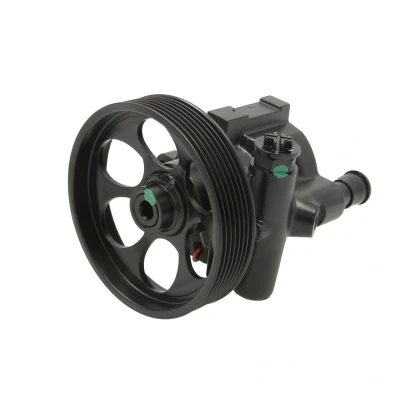 Afbeelding van Lauber Servopomp 55.4300