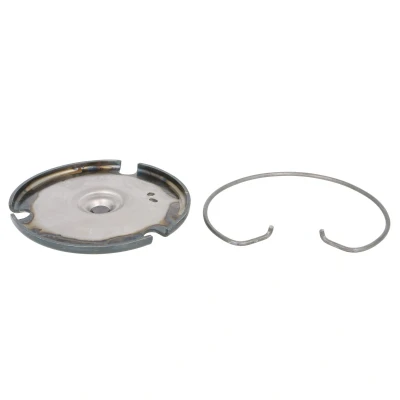Afbeelding van Sachs Frictieplaat 3100 654 003