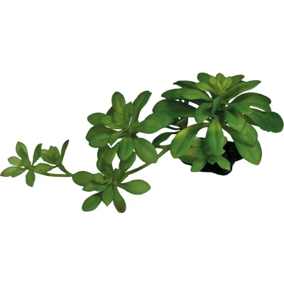 Afbeelding van Repto Plant Succulent Green XL