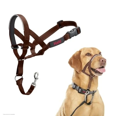 Afbeelding van Company of Animals HALTI Halster, om te voorkomen dat uw hond aan de riem trekt. Verstelbaar, reflecterend en licht, met gevoerde neusband, Deep Walnut, 3
