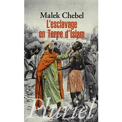 Afbeelding van L&#039;esclavage en terre d&#039;Islam: Un tabou bien gardé