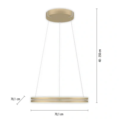 Afbeelding van Paul Neuhaus Hanglamp e Loop Lift Ø 70 cm mat goud