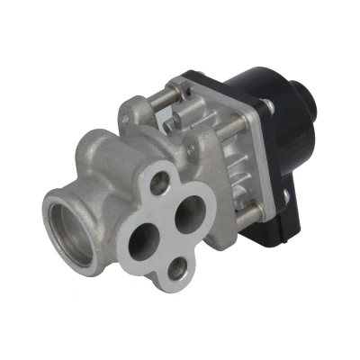Afbeelding van EGR klep DELPHI EG10611 12B1