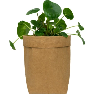 Afbeelding van QUVIO Plantenzak uitwasbaar 10x10x20cm Bruin