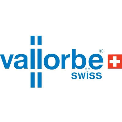 Afbeelding van Vallorbe LAM020 140 2 Set naaldvijlen, 6 delig Slaglengte 70 mm Lengte 1 set(s)