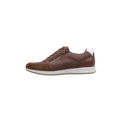 Afbeelding van GEOX U AVERY Bruin 41 EU