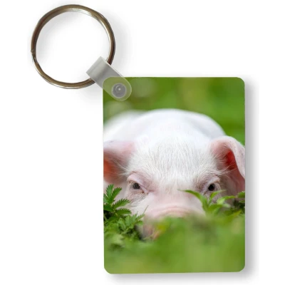 Afbeelding van Sleutelhanger Varken Dieren Big Uitdeelcadeautjes Plastic