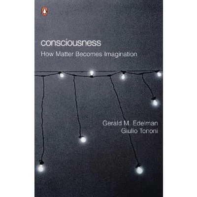 Afbeelding van Consciousness: How Matter Becomes Imagination