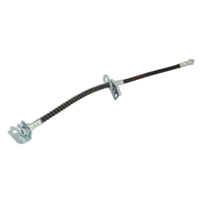 Afbeelding van Remslang DELPHI LH6815
