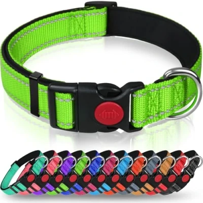 Afbeelding van Taglory Reflecterende nylon hondenhalsband met veiligheidsgesp, verstelbare halsband, zachte neopreen voering, voor puppy‘s, XS, groen