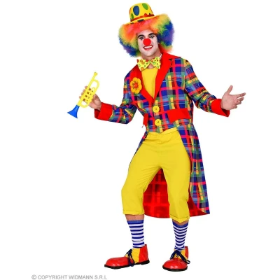 Afbeelding van Widmann Clown &amp; Nar Kostuum Kleurenkanon Opa Jan Slipjas Man Blauw Medium Carnavalskleding Verkleedkleding