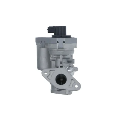 Afbeelding van EGR klep VALEO 703215