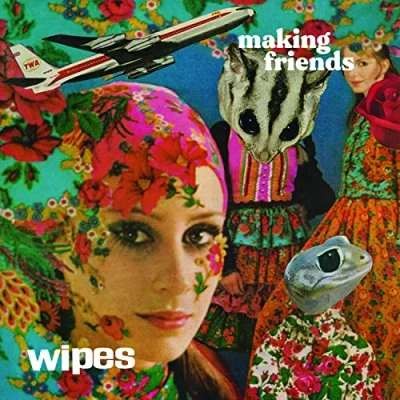 Afbeelding van Wipes Making Friends (LP)
