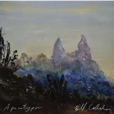Afbeelding van Bill Callahan Apocalypse (LP)